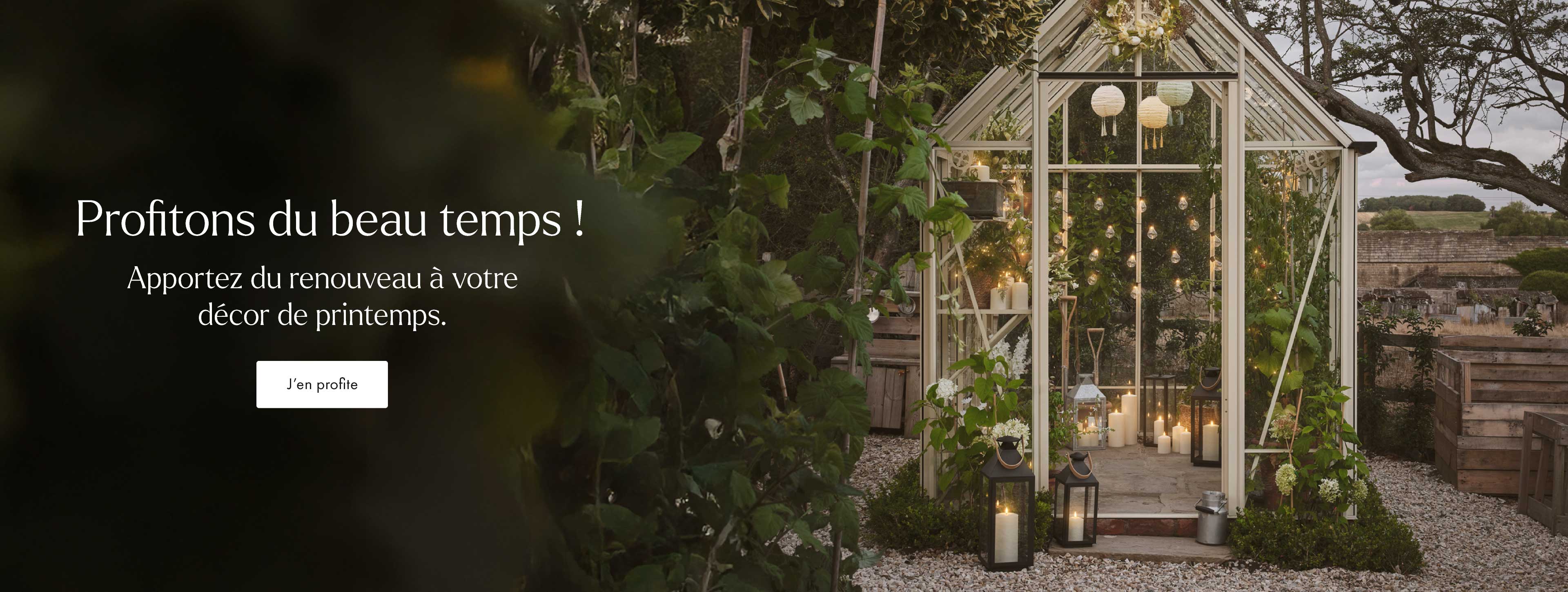 Illuminez Vos Plus Beaux Instants